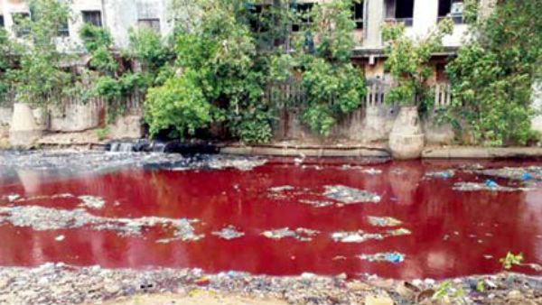 ठाणे की नदी का रंग हुआ लाल, लोग हैरान, दोषी का नाम बताने वाले को मिलेगा 1 लाख रुपए का इनाम