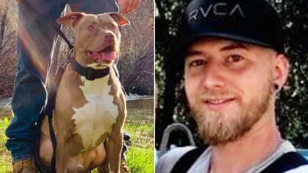 पालतू कुत्ते को बचाने के लिए जान पर खेल गया मालिक, जंगली भालू के जबड़े से निकालकर लिया दम