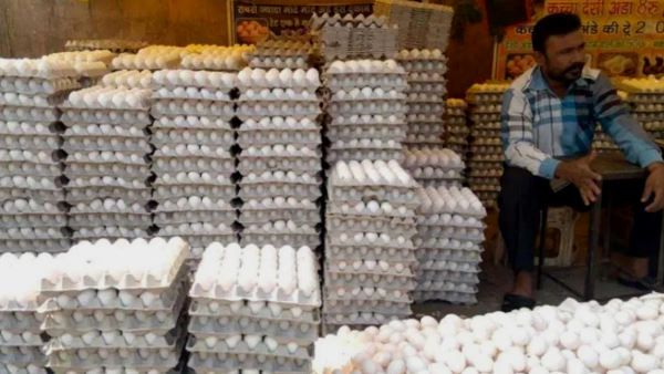 सुलभ शौचालय में खोल दी अंडों की दुकान, मीट भी बेचने लगा, निगम ने केयरटेकर पर लगाया 20 हजार का जुर्माना