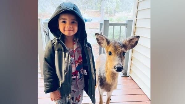 चार साल का बच्चा हिरन के बच्चे के साथ लौटा घर, दोनों को साथ देख मां हुई हैरान, तस्वीर वायरल