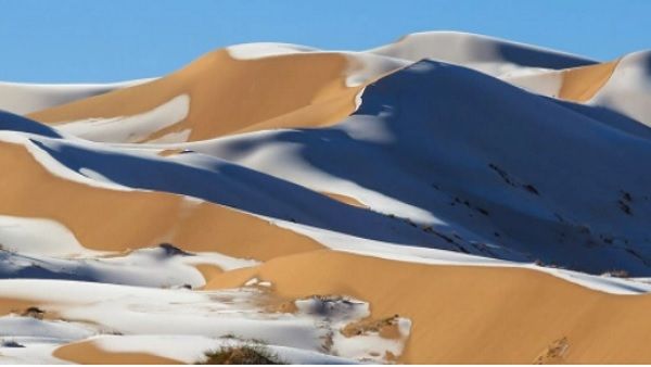 बर्फ की सफेद चादर से ढंका दुनिया का सबसे बड़ा रेगिस्तान, Yellow Snow को देख लोग हैरान