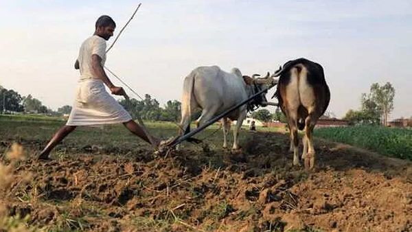 क्या PM-KISAN स्कीम का पैसा 20.48 लाख गलत लोगों के हाथों में गया- RTI के हवाले से दावा