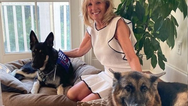 राष्ट्रपति जो बाइडेन के कुत्ते ने व्हाइट हाउस में मचाया आतंक, सुरक्षा अधिकारी पर जानलेवा हमला कर किया घायल