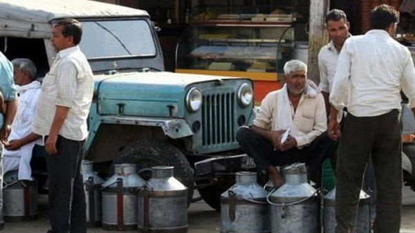 किसानों का ऐलान- सरकारी-सहकारी संस्थाओं को अब 100 रुपए लीटर बेचेंगे दूध, CM खट्टर को नागवार गुजरा