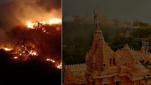 गुजरात: श्री शत्रुंजय तीर्थ के पहाड़ पर भीषण आग से 200 हेक्टेयर की वनस्पतियां और पेड़-पौधे खाक