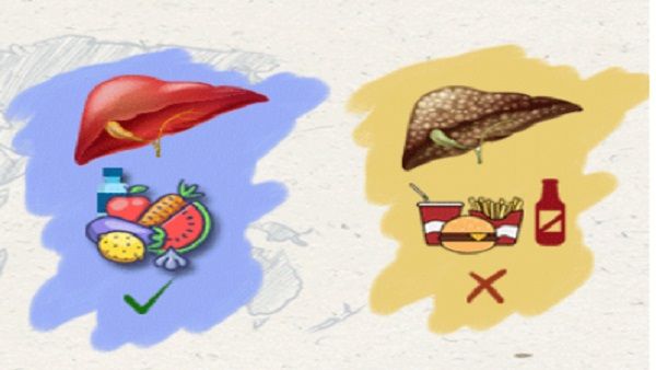 World Liver Day: लीवर को हेल्दी रखने के लिए क्या करें और क्या ना करें, इन 10 टिप्स का रखें खास ध्यान