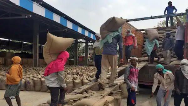 मंडी से गेहूं उठान के लिए मनोहर लाल सरकार ने लिया फैसला, सोमवार से होगी नई खरीद