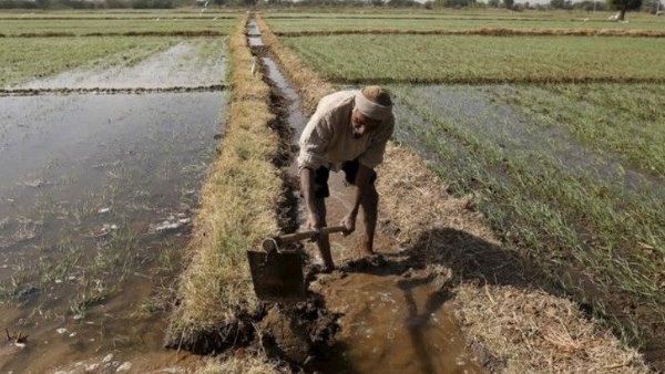 छत्तीसगढ़ सरकार ने जारी की 1500 करोड़ की कृषि सब्सिडी की पहली किस्त, 22 लाख किसानों को फायदा