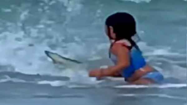 समुद्र बीच पर खेल रही बच्‍ची का शार्क से हो गया आमना-सामना और फिर ...देखें वीडियो