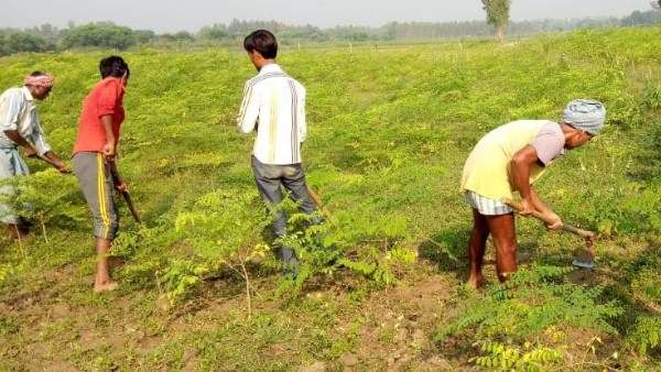 बड़ा कदम: अब उत्तराखंड के 9 लाख किसानों के सीधे खातों में ट्रांसफर होगी अनुदान राशि