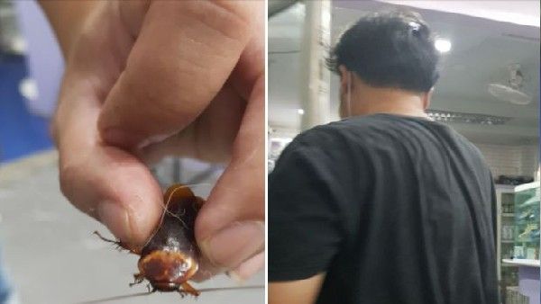 इंसानियत हो तो ऐसी! कॉकरोच की जान बचाने के लिए अस्पताल दौड़ा शख्स, ऑक्सीजन सपोर्ट पर रखा