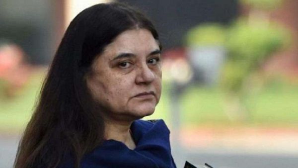 'मेनका गांधी घटिया महिला हैं, शर्मिंदा हूं कि ये पार्टी की सांसद हैं', BJP विधायक अजय विश्नोई ने क्यों कहा ऐसा