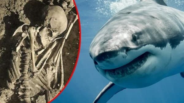 शोधकर्ताओं को मिला 790 चोटों के साथ 3000 साल पुराना कंकाल, सच्चाई ऐसी जो बन गई बड़ी उपलब्धि