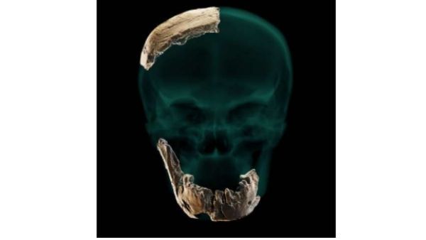 इजरायल में इंसानों की रहस्यमयी प्रजाति की खोज, क्या धरती पर रहते थे महामानव? गहराया रहस्य
