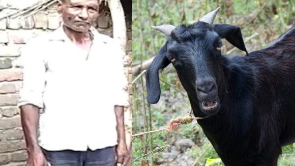 मालिक को लखपति बनाएगा ये बकरा, जानिए इस काले बकरे का मोल क्यों लगाया जा रहा 5 लाख रुपए ?