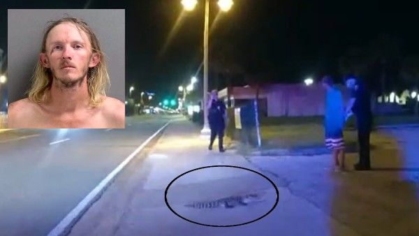 सनकी युवक की करतूत, पहले गोल्फ कोर्स से चुराया घड़ियाल और फिर सबक सिखाने के लिए कर दी हद पार