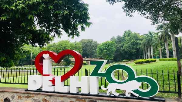 1 अगस्त से दो शिफ्ट में खुलेगा दिल्‍ली चिड़ियाघर, 31 जुलाई से शुरू होगी ऑनलाइन बुकिंग 