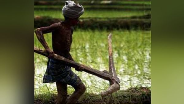 छत्तीसगढ़ के किसानों को जैविक खेती का तरीका सिखाएंगे जवान