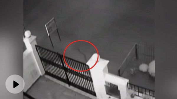 बारिश के बाद गुड़गांव में जलभराव, सोसायटी की गलियों में तैर रहे सांप, दहशत में लोग