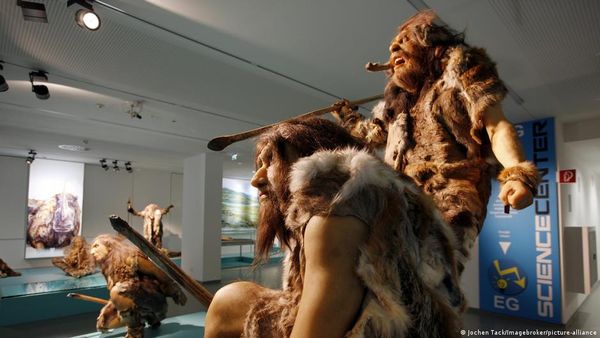 स्पेन में मिली प्राचीन कलाकृति निएंडरथलों ने ही बनाई थी