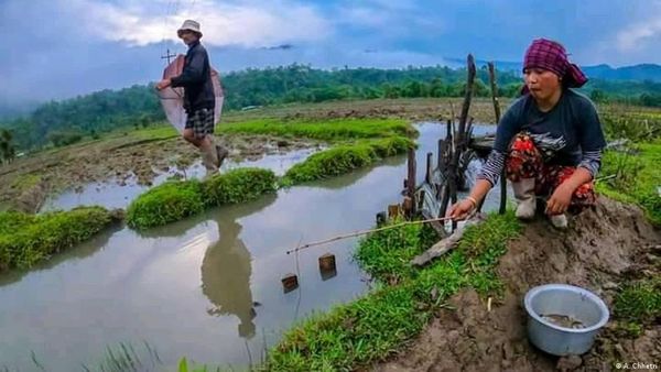 पैतृक संपत्ति में बेटियों के अधिकार पर विवाद