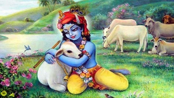 Bahula Chaturthi 2021: आज शाम से ही लगेगी चतुर्थी, जानिए गौ-माता को प्रसन्न करने के मंत्र