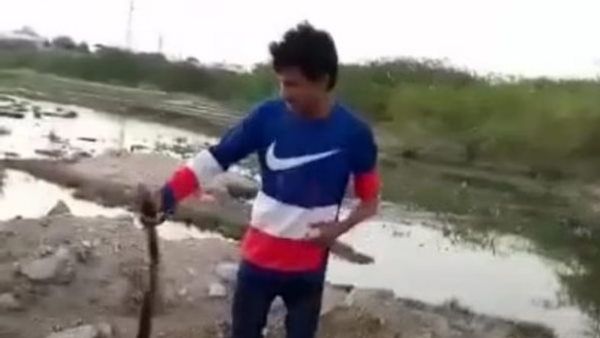 फेसबुक LIVE कर बता रहा था सांप से बचाव का तरीका, थोड़ी देर बाद कोबरा के ही डसने से हुई मौत