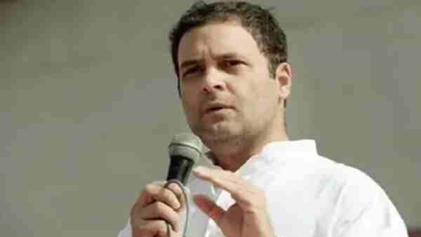 राहुल गांधी ने इंस्टाग्राम पर वीडियो किया शेयर, लिखा- हम दो, हमारे दो की सरकार को हैप्पी फ्रेंडशिप डे