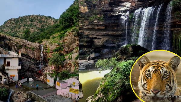 घने जंगलों के बीच राजस्थान की ऐसी जगह जहां एक साथ बहते हैं 20 झरने, इंसान नहीं ये बाघों का गढ़
