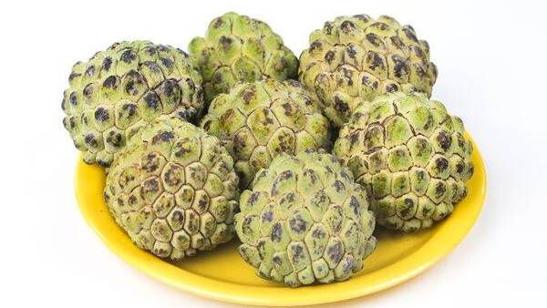 शरीफे को लेकर चीन से भिड़ा ताइवान, दी WTO में जाने की धमकी