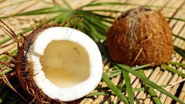 प्रसिद्ध मंदिर में चढ़ाए गए नारियल की हुई नीलामी, फल विक्रेता ने नारियल पाने के लिए अदा किए इतने लाख रुपए