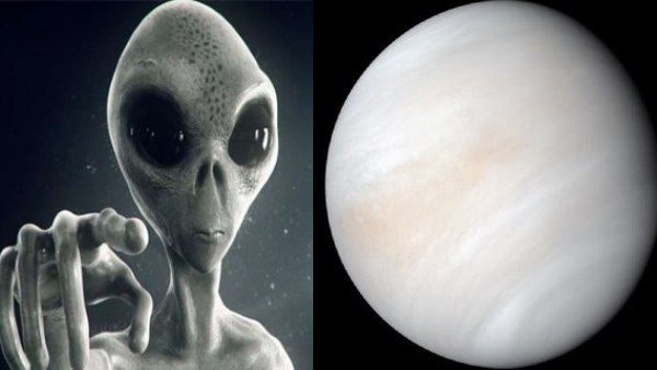 वैज्ञानिक पृथ्वी के इस जीव को मान रहे एलियंस, मल में पाया गया शुक्र ग्रह वाला रसायन