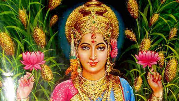 दिवाली पर इन उपायों के साथ करें मां लक्ष्मी की पूजा, घर में आएगी खुशहाली और बरसेगा धन