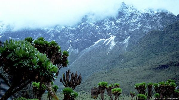 सिर्फ 20 साल में पिघल जाएंगे अफ्रीका के हिमखंड!