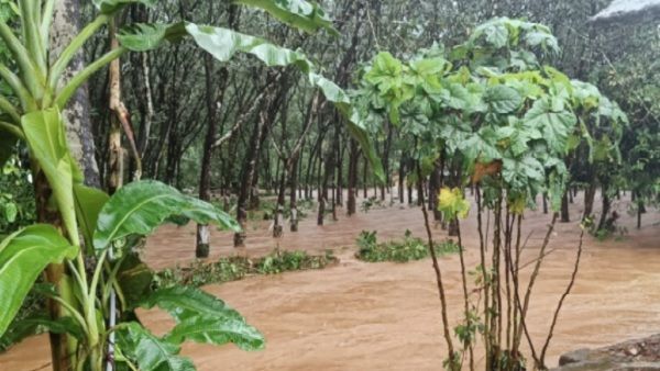 Weather: दक्षिण से लेकर उत्तर तक भारी बारिश का कहर, केरल में Orange Alert, जानिए दिल्ली का हाल