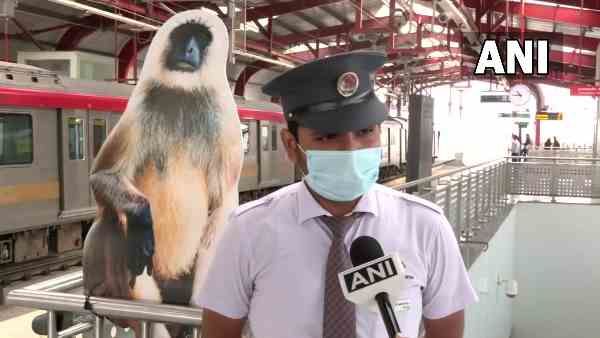 लखनऊ: मेट्रो स्टेशनों पर लगाए गए लंगूर के कटाउट, जानें क्यों उठाया ऐसा कदम