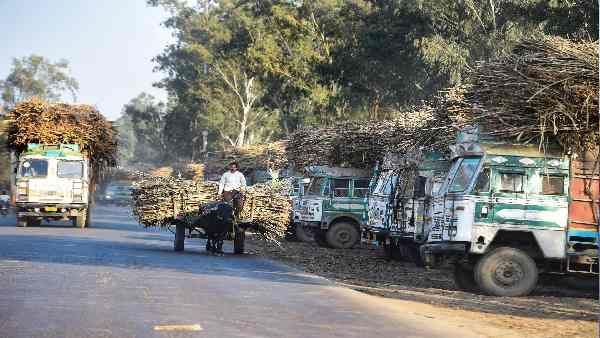 यूपी चुनाव 2022: जातियों के आधार पर ही बजेगा पार्टियों का डंका, पश्चिमी यूपी में किसके मन में क्या है ? जानिए