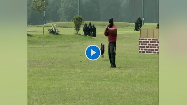 NSG का 37वां स्थापना दिवस: कमांडोज ने हरियाणा में दिखाए करतब, आसमान और जमीन के बीच तिरंगा लहराया