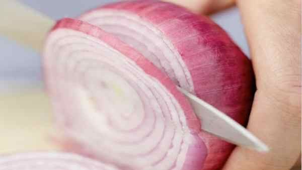 Salmonellosis: कच्चा प्याज खाने से 37 अमेरिकी राज्यों में फैली ये बीमारी, इसके कारण और लक्षण जानिए