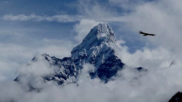 हिमाचल प्रदेश में भारी बर्फबारी, पहाड़ पर फंसे 3 ट्रैकर्स की जान गई, 10 को बचाया गया