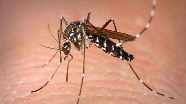 यूपी में जीका वायरस की दस्तक, कानपुर में मिला पहला मरीज, स्वास्थ्य विभाग अलर्ट