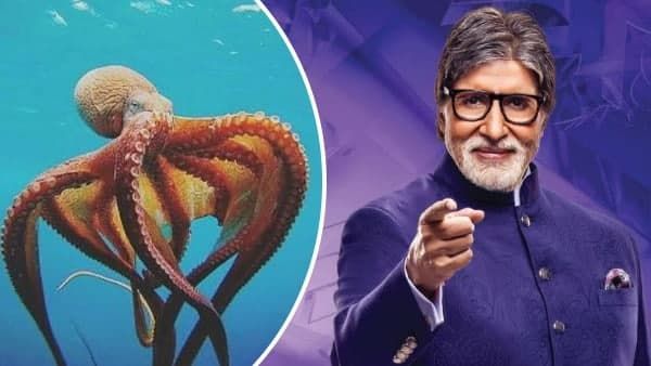 ऑक्टोपस के पास क्यों होते हैं 3 दिल और 9 दिमाग? जानिए KBC 13 में पूछे गए इस सवाल का जवाब