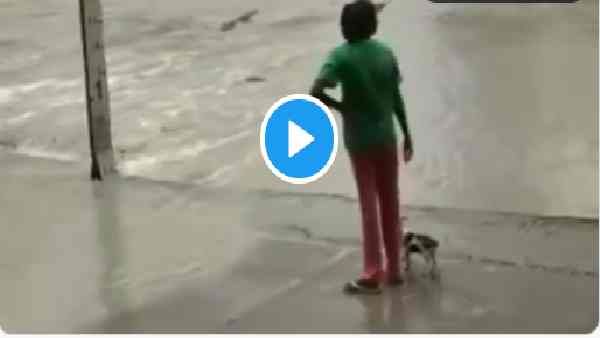 Viral Video: महिला ने चप्पल दिखाकर मगरमच्छ को भगा दिया, इंटरनेट पर मिल रहे हैं कमाल के कमेंट