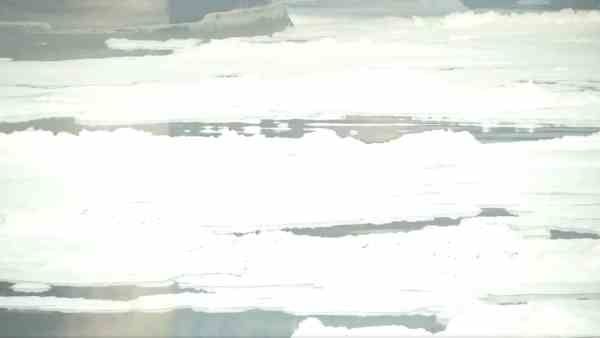 यमुना नदी में अमोनिया का स्तर बढ़ने से प्रभावित हुई जल आपूर्ति, दिल्ली जल बोर्ड ने जारी किए हेल्पलाइन नंबर