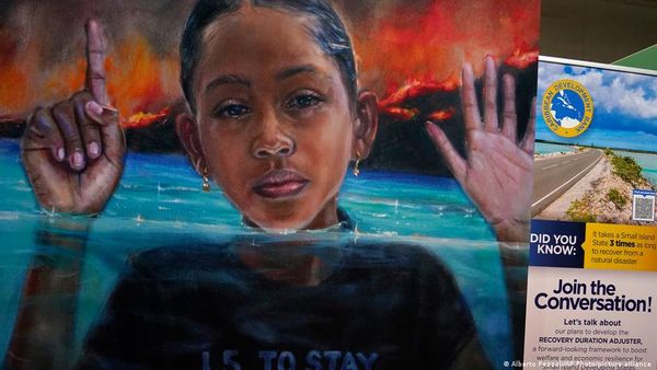 सौ देशों ने की ऐतिहासिक प्रतिज्ञा, पर भारत ने नहीं लिया हिस्सा