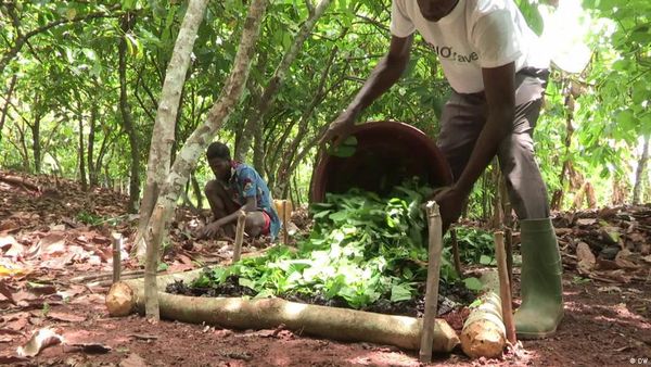 खेती के कचरे को खजाने में बदलता एक छोटा सा डब्बा