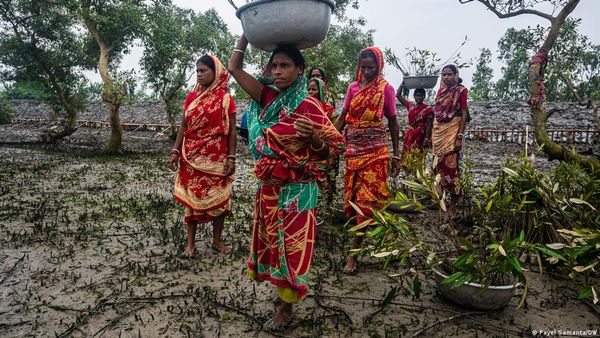 बाघ और हाथियों के बाद अब गांवों पर लोमड़ियों के हमले