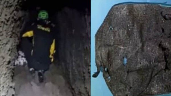 50 साल बाद खुला गुफा का दरवाजा, अंदर टाई और कोट पहने मिला 'एलीफैंट मैन'