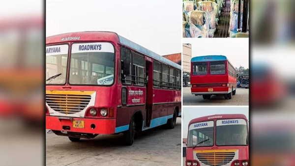 Fact Check: हरियाणा रोडवेज की बसें लाल रंग में दौड़ेंगी? क्या सच में अब ऐसा होने जा रहा है?