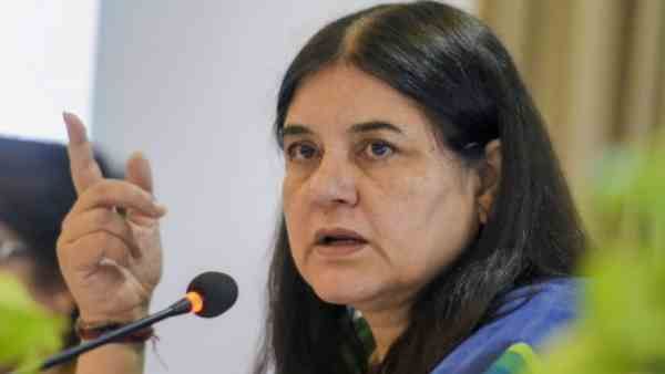 'पेट्रोल-डीजल के बाद रसोई गैस के दाम कम करें केंद्र', सुल्तानपुर दौरे के दौरान मेनका गांधी ने कहा